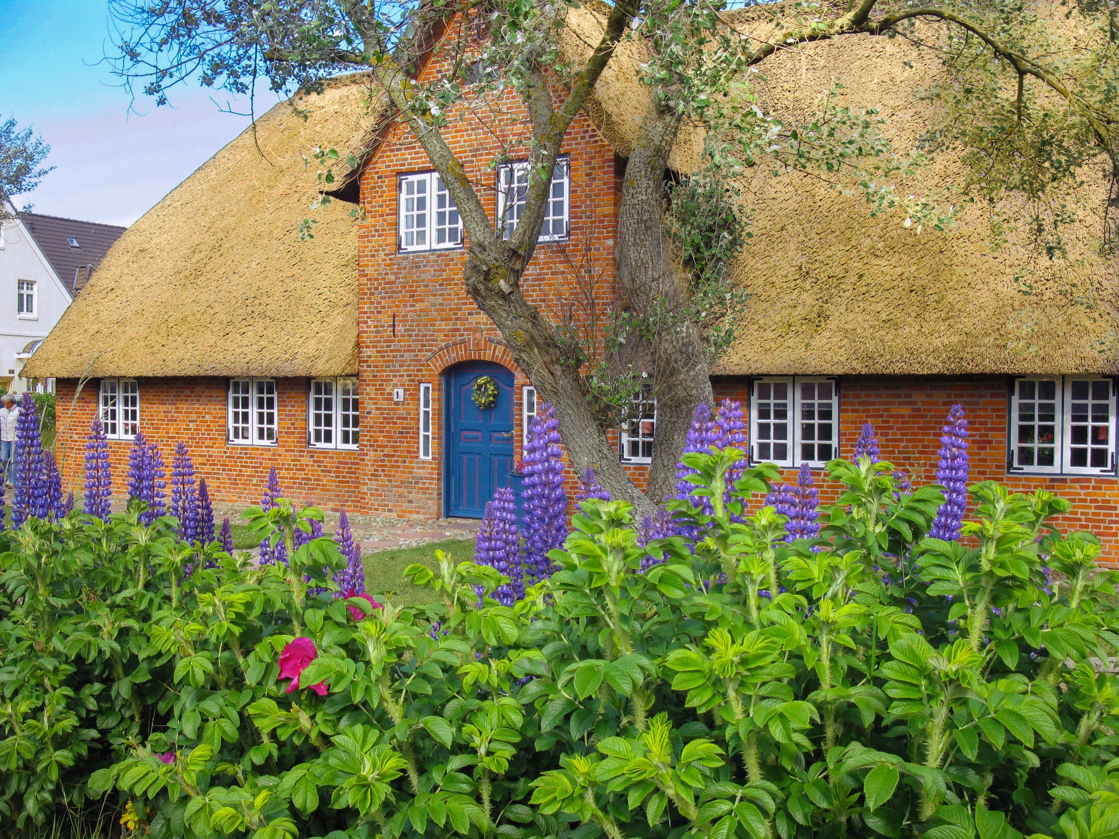 Reetgedecktes Friesenhaus Sara in Wenningstedt